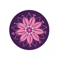 Sada samolepek Nikidom Roller Wheel Stickers Spring